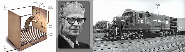 Themes in Skinner's Life